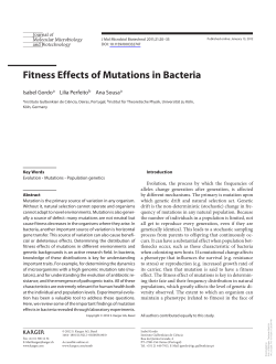 Fitness Effects of Mutations in Bacteria