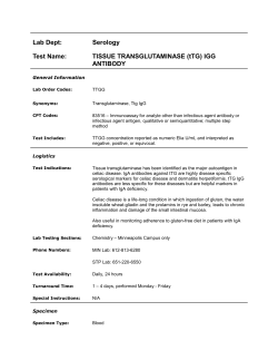 TISSUE TRANSGLUTAMINASE (tTG)