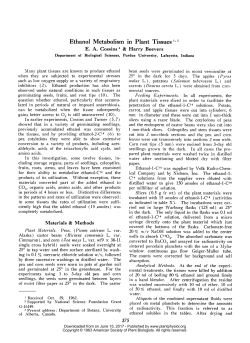 Ethanol Metabolism in Plant Tissues1 2
