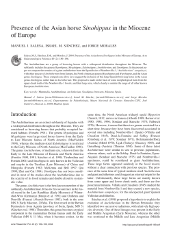 Presence of the Asian horse Sinohippus in the Miocene of Europe