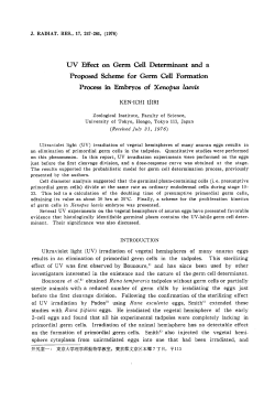 Process in Embryos of Xenopus laevis