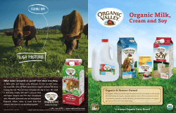 Cream and Soy - 100 Days of Real Food