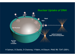 Nuclear Uptake of DNA