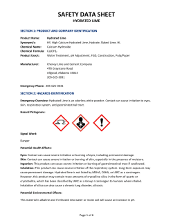 safety data sheet