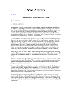 File - Ayala Wrestling