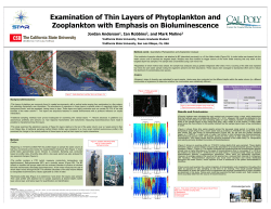 Examination of Thin Layers of Phytoplankton and Zooplankton with
