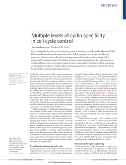 Multiple levels of cyclin specificity in cell-cycle control