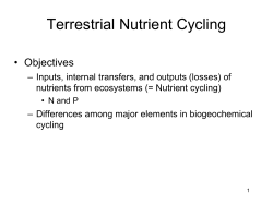 Terrestrial Nutrient Cycling