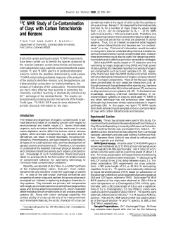 13C NMR Study of Co-Contamination of Clays with Carbon