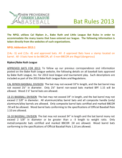 Bat Rules 2013