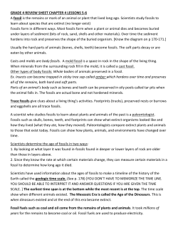 GRADE 4 REVIEW SHEET CHAPTER 4 LESSONS 5