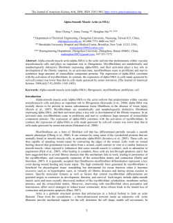 Alpha-Smooth Muscle Actin - Journal of American Science