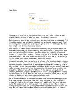 Heat Stroke - Buffalo Ridge Animal Hospital