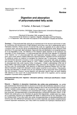 Digestion and absorption of polyunsaturated fatty acids