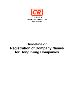 Guideline on Registration of Company Names for Hong Kong