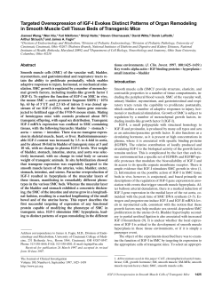 Targeted Overexpression of IGF-I Evokes Distinct Patterns of
