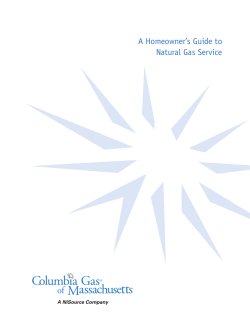 A Homeowner`s Guide to Natural Gas Service