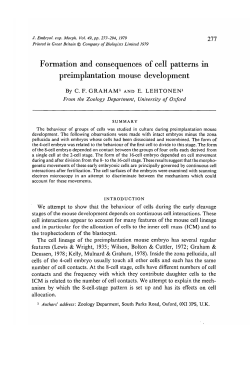 Formation and consequences of cell patterns in