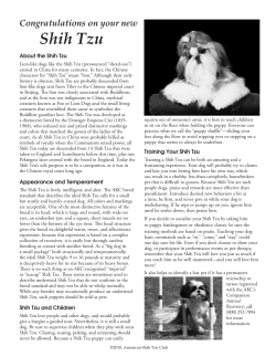 Congratulations on your new Shih Tzu