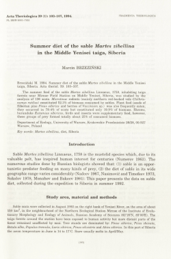 Summer diet of the sable Marłeś zibellina in the Middle Yenisei taiga