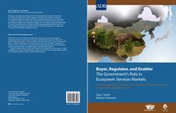 Buyer, Regulator, and Enabler: The Government`s Role in