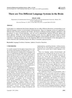 There are Two Different Language Systems in the Brain