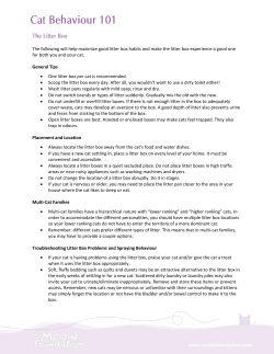 Cat Behaviour 101