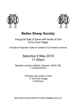 Beltex Sheep Society Saturday 6 May 2016 11.00am