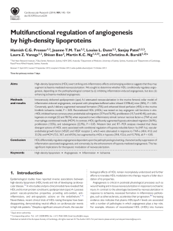 Multifunctional regulation of angiogenesis by high
