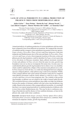 LACK OF ANNUAL PERIODICITY IN CAMBIAL PRODUCTION OF
