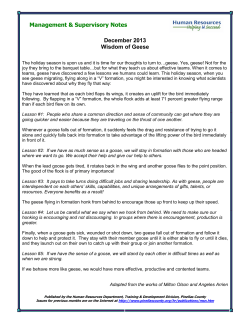 December 2013 Wisdom Of Geese