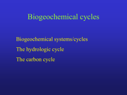 Concepts in biogeochemical cycles