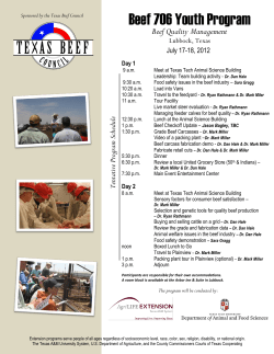 Beef 706 Youth Program - Texas Tech University Departments