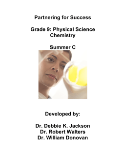 Partnering for Success 2007