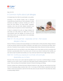 6 Common myths about pet allergies