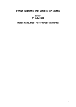A GUIDE TO PIGWEEDS, GOOSEFOOTS, ORACHES