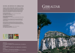 GIB_Main Brochure 2008:GIB_15_Main Brochure 2007