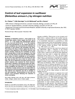 Control of leaf expansion in sunflower