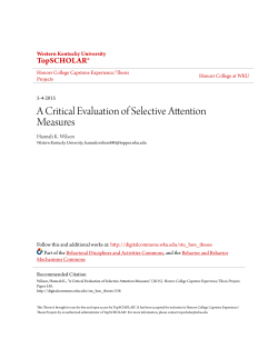 A Critical Evaluation of Selective Attention Measures