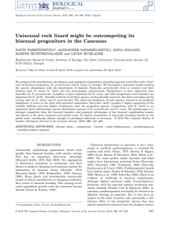 Unisexual rock lizard might be outcompeting its