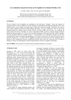 An evaluation of peat loss from an Everglades tree