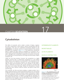 Alberts Essentials Chapter 17