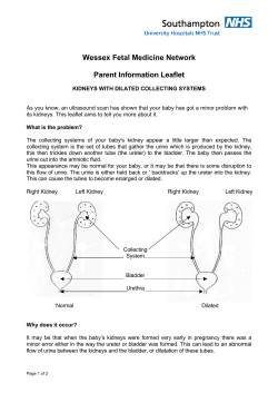 Kidneys with Dilated Collecting Systems
