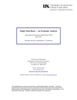 Single Stem Roses -- An Economic Analysis