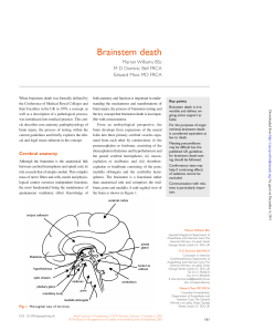 Brainstem death - e-SAFE