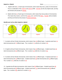 1. Haploid cells have 1 of each type of chromosome