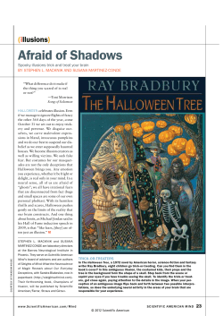 Afraid of Shadows - Susana Martinez