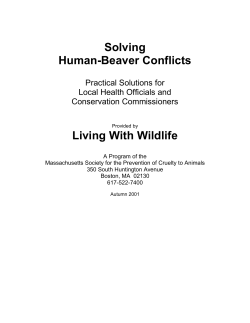 Beaver Management - Ashburnham Conservation Trust