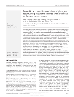 Anaerobic and aerobic metabolism of glycogen