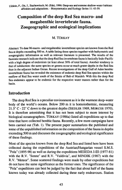 Composition of the deep Red Sea macro- and